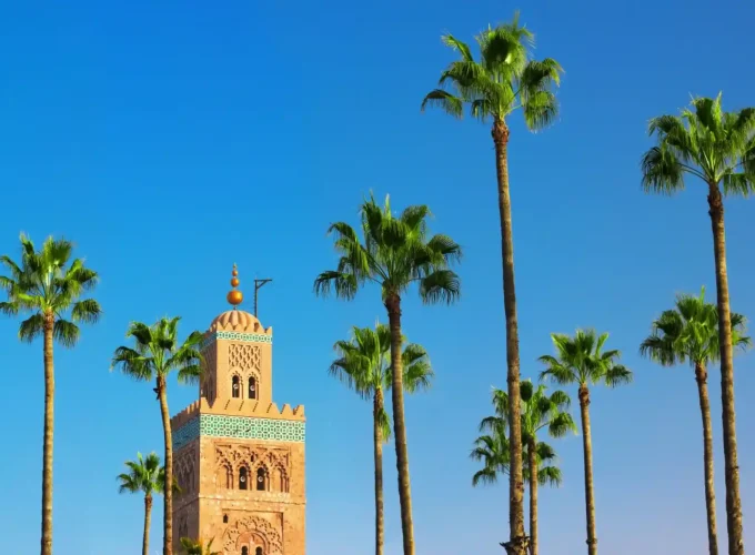 Private Marrakech Medina, Palaces & Tombs Discovery Tour