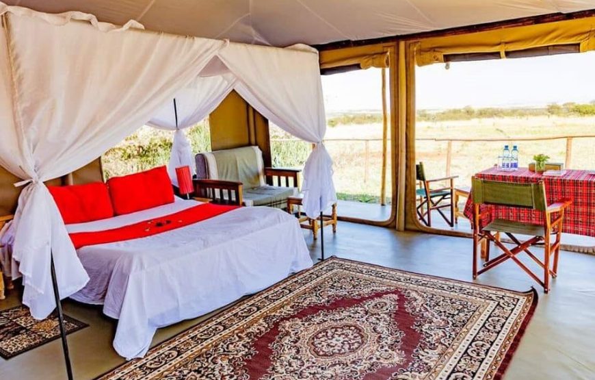 05 DAYS GLIMPSE OF KENYA BUDGET SAFARI.