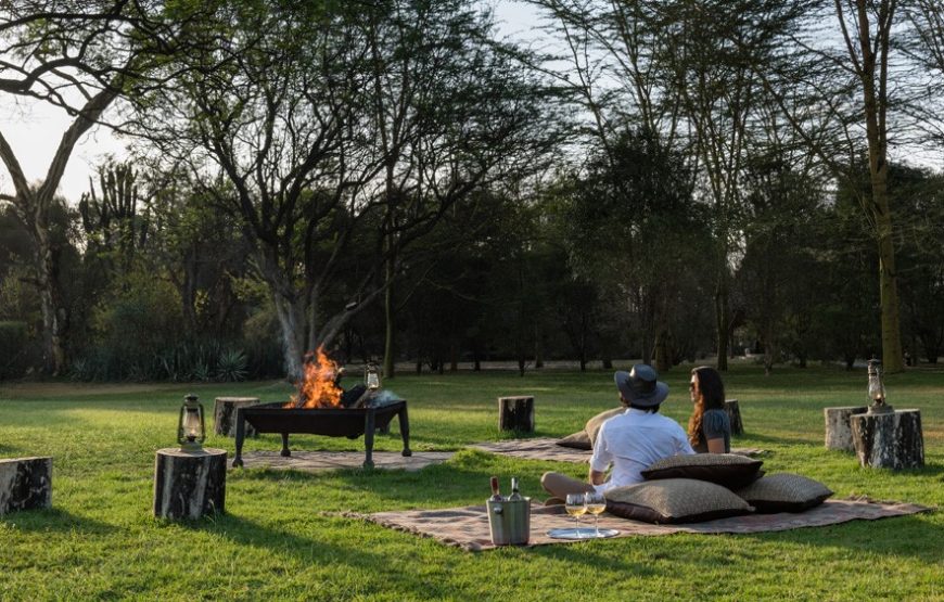 Maasai Mara Wildebeest Migration 2025 – 3 Days Maasai Mara wildebeest Migration Packages