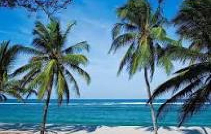 Mombasa 3 Days Package 2025 – 3 Days Mombasa Package