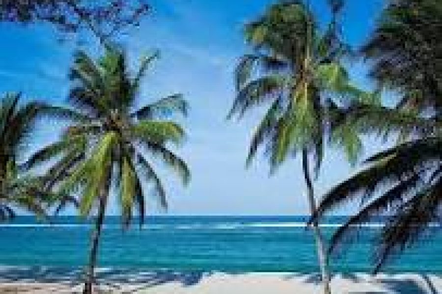 Mombasa 3 Days Package 2025 – 3 Days Mombasa Package