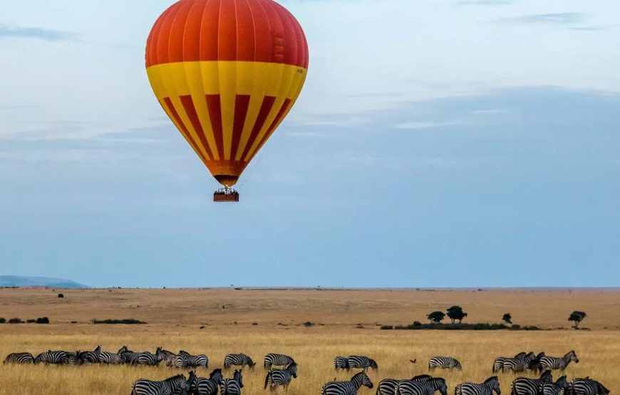 Maasai Mara Wildebeest Migration 2025 – 3 Days Maasai Mara wildebeest Migration Packages