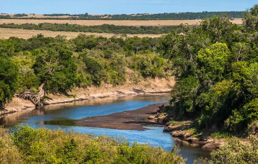 Maasai Mara Wildebeest Migration 2025 – 3 Days Maasai Mara wildebeest Migration Packages