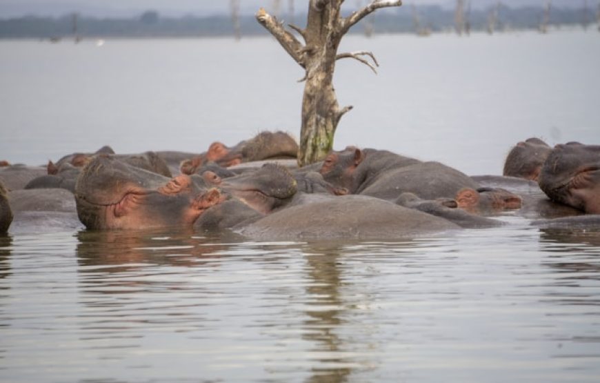 Naivasha Weekend Getaways.