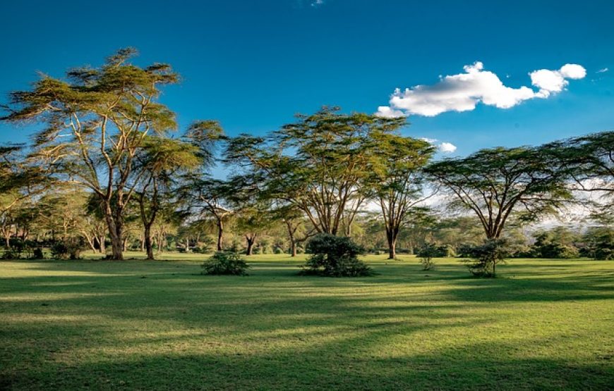 Naivasha Weekend Getaways.