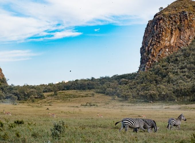 Naivasha Weekend Getaways.