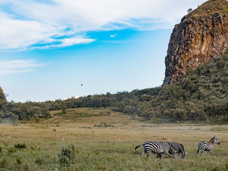 Naivasha Weekend Getaways.