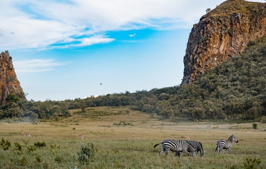 Naivasha Weekend Getaways.