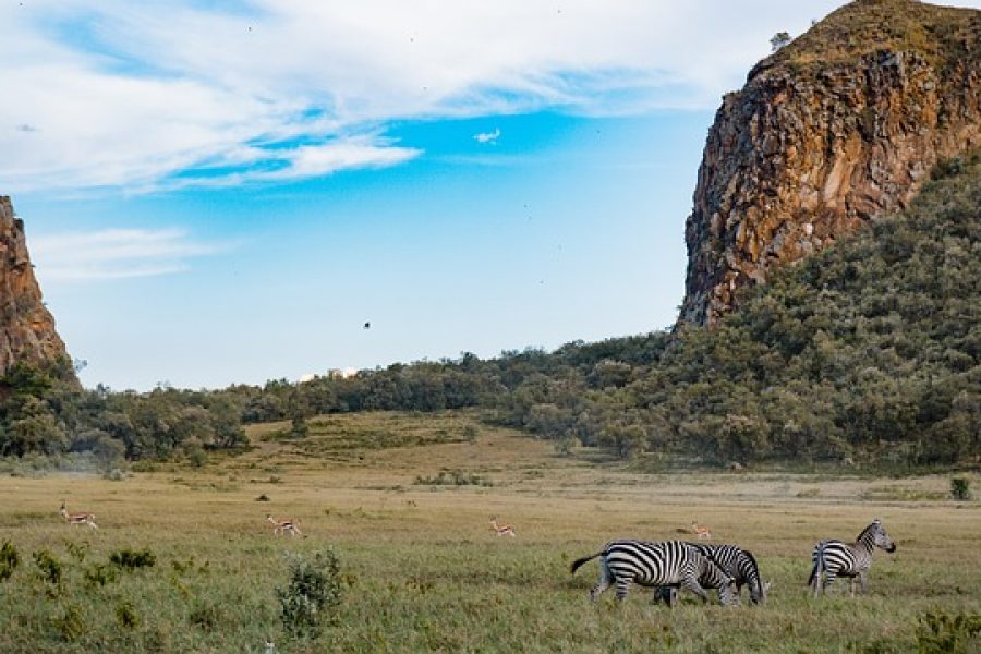 Naivasha Weekend Getaways.